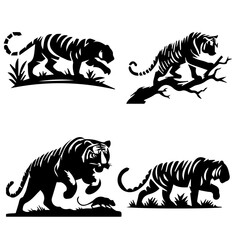 Obraz premium tiger Stalking prey silhouette on white background