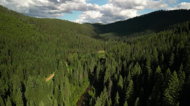 Aerial of RV camped next to creek at sunset in Idaho mountains and pine forest