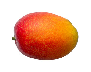 完熟マンゴー/ 宮崎県産