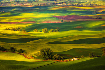 Fields of the Palouse seen from Steptoe Butte in eastern Washington