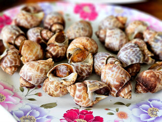 Cooked sweet clams Served in a plate