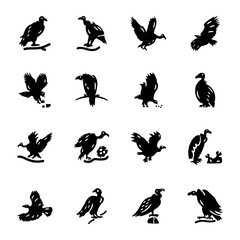 Collection of Vulture Bird Solid Icons 

