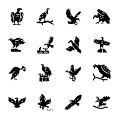 Bundle of Buzzard Bird Solid Icons 
