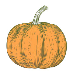  Simple Pumpkin Outline Design with Clean Lines