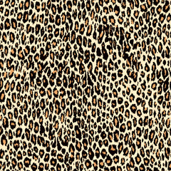 leopar 13.eps