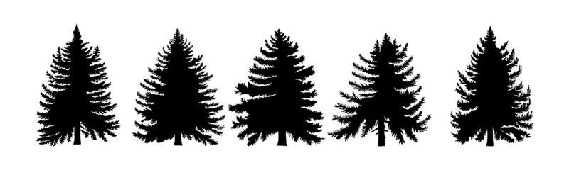 Set of Different fir tree, coniferous, pine tree silhouettes. Christmas, New Year, Winter holidays symbols, icons, design elements. Black monochrome vector illustrations on transparent background.