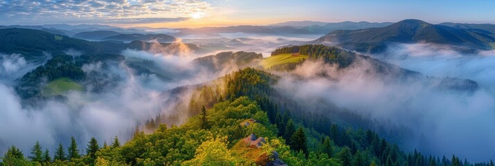 Naklejka premium Mountains in clouds at sunrise in summer. Aerial view of mountain peak with green trees in fog. Beautiful landscape with high rocks. forest. sky. Top view from drone of mountain valley in low clouds