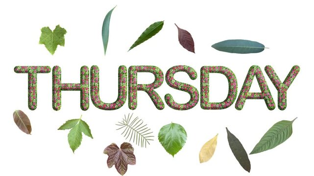 THURSDAY,  made from green grass, leaves and flower, with falling leaves, go green concept. white background