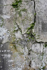 Fototapeta premium Weathered concrete surface with cracks, moss, and lichen growth, giving a sense of an abandoned, aged structure, Generative AI