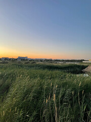 sunset over the meadow