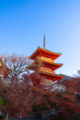 Obraz premium the iconic Kiyomizu-dera Temple in Kyoto, Japan