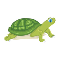 An icon of tortoise designed in flat style  


