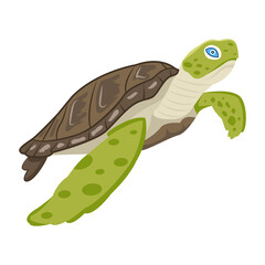 turtle, tortoise, chelonian, loggerhead, leatherback, specie, aquatic, reptile, creature, flat, vector, icon, 

