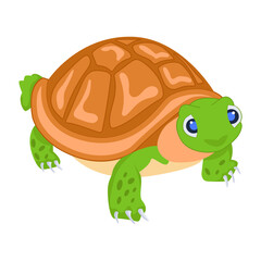 A cute tortoise flat style icon 

