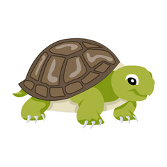 Common tortoise icon in flat style 

