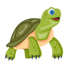 turtle, tortoise, terrapin, testudines, reptile, specie, creature, flat, vector, icon, 

