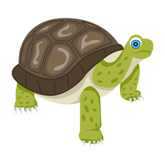An icon of tortoise designed in flat style  


