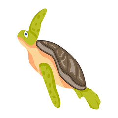 A flat style icon of tropical tortoise

