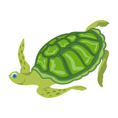 A cute tortoise flat style icon 

