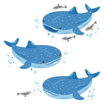 ジンベイザメ」の写真素材 | 25,571件の無料イラスト画像 | Adobe Stock