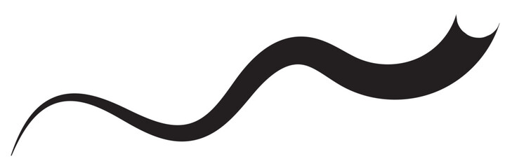 Typographic swash and swooshes tails. Retro swishes and swashes for athletic typography, logos, baseball font
