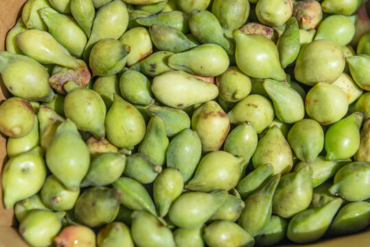 Kakadu Plums