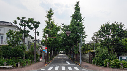 閑静な住宅街の道路