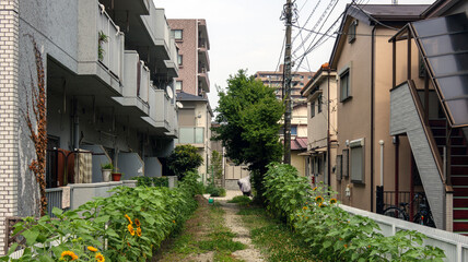Fototapeta premium 都会の裏路地