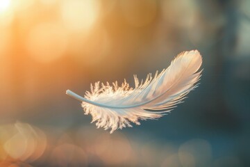 A single white feather gently floats in the air against a blurred background of golden sunlight © Elmira