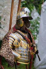 A full body suit of armor with a leopard print cape