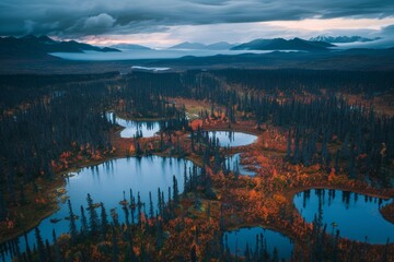 Obraz premium Aerial photography from a drone over the boreal forest, also known as taiga, along looking toward the Alaska Range in the distance. 