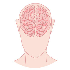 Human brain concept, left, right, human head with brain silhouette icon.