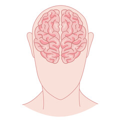 Human brain concept, left, right, human head with brain silhouette icon.