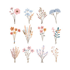 Vector doodle flowers collection. Set of botanical elements hand draw. Summer bouquets