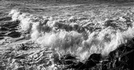 Breaking wave panorama in contrasting black and white. Surf and black rocks at “Golden Gate Bridge“ in San Francisco (USA) on a windy spring morning. Strong current, splashing water, drops and bubbles