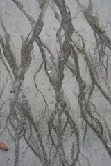 sand on the beach When the sea level recedes, there are strange patterns.