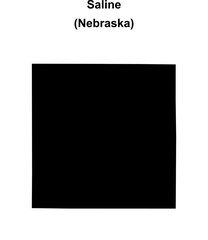 Saline County (Nebraska) blank outline map