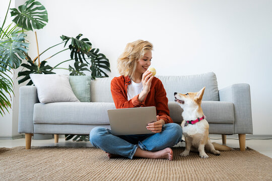 Smiling freelancer giving obedience training to dog sitting at home