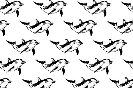 Seamless pattern of Dolphins over white background