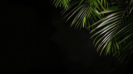 Palm in the darkness with space for text vertical image with partial illumination Divine intervention suggested