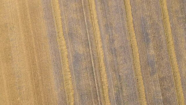 crane rotate shot over harvested wheet field