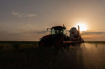 Fototapeta premium Tractor sprays field with pesticides in summer