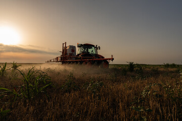 Fototapeta premium Tractor sprays field with pesticides in summer