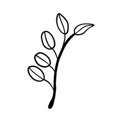 Obraz premium Leaf of a tree