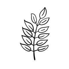 Leaf in thanksgiving 