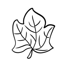 Leaf in thanksgiving day