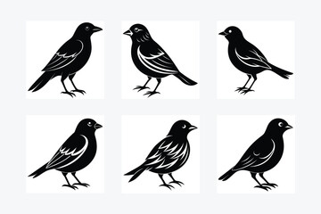 Silhouettes of birds vector illustration design
