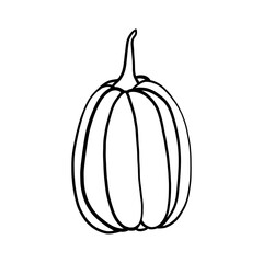 Pumpkin in thanksgiving day