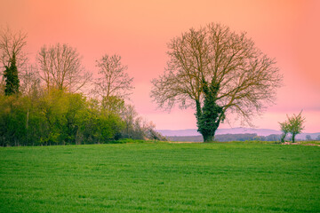 Fototapety na wymiar - Fototapeta24.pl