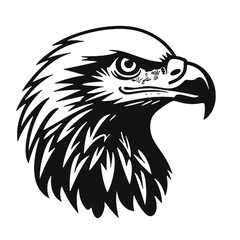 eagle vector illustration